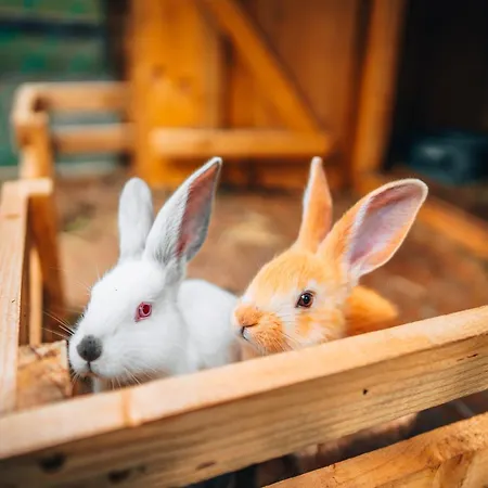 Obrovisko Syslovisko * Muran