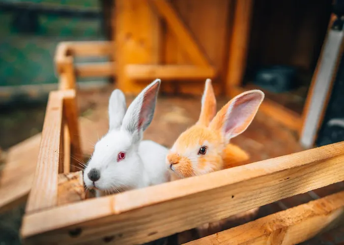 Obrovisko Syslovisko * Muran